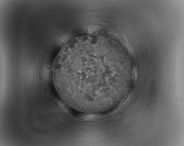 X0000086890527200705141625