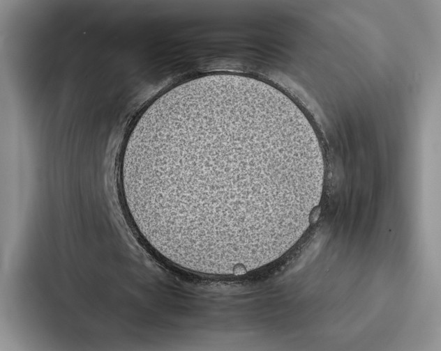 X0000086890529200705141624