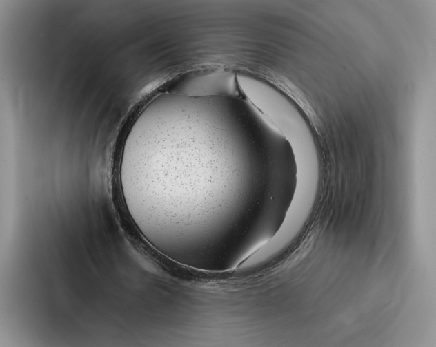 X0000086890530200705141624