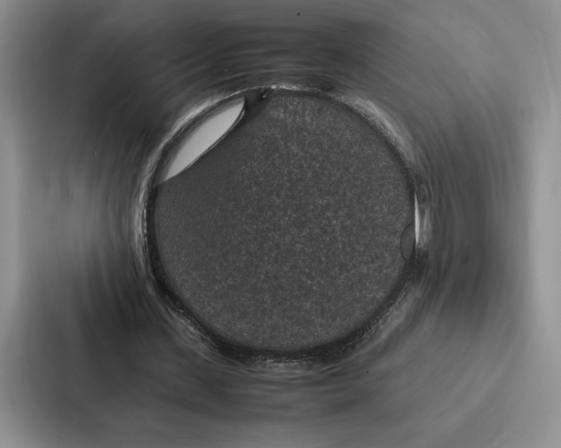 X0000086890531200705141624