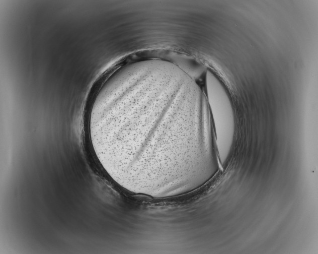 X0000086890532200705141624