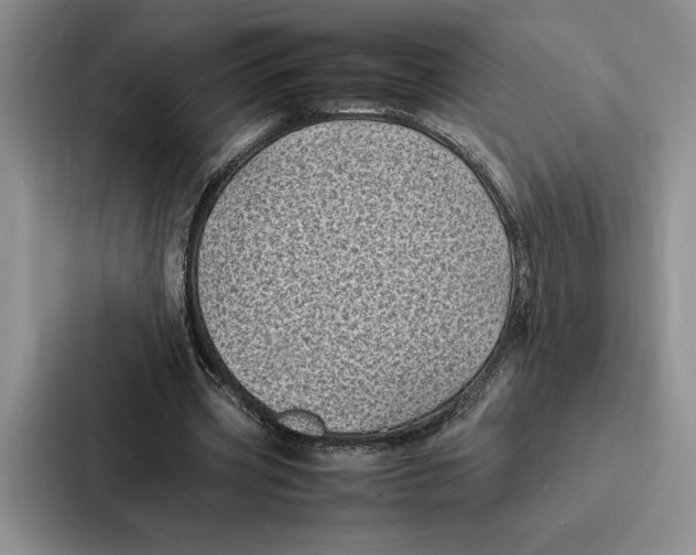 X0000086890533200705141624