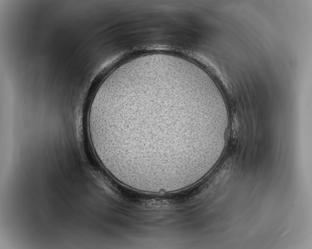 X0000086890535200705141624