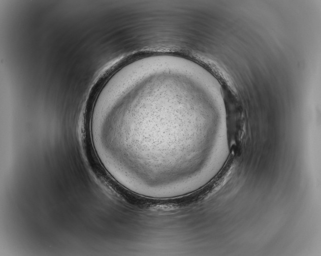 X0000086890536200705141624