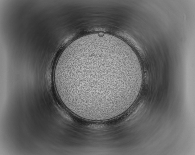 X0000086890537200705141624