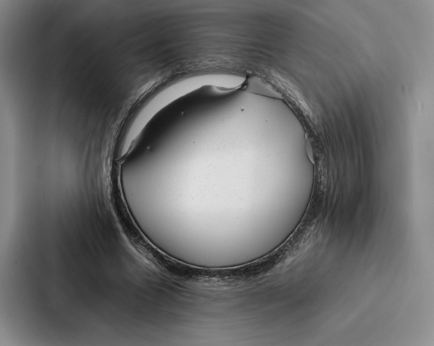 X0000086890538200705141624