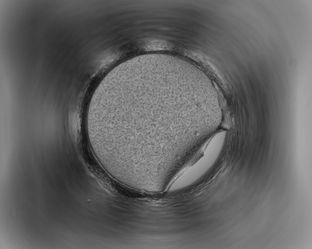 X0000086890539200705141624