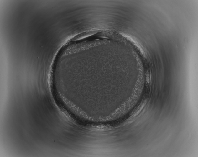 X0000086890540200705141624