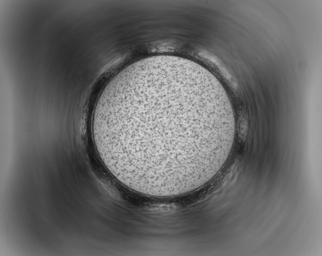 X0000086890543200705141624