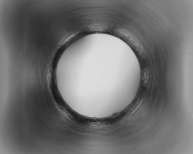 X0000086890544200705141624