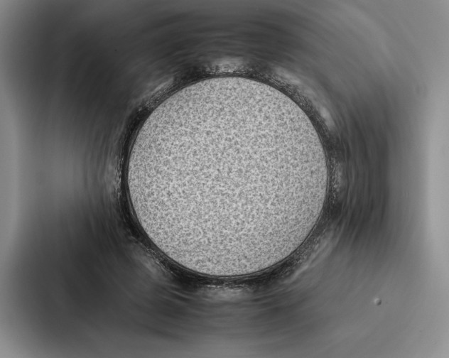 X0000086890545200705141624