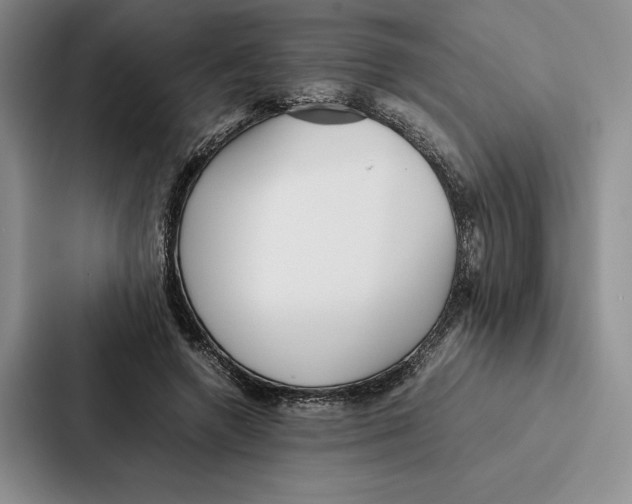 X0000086890546200705141624