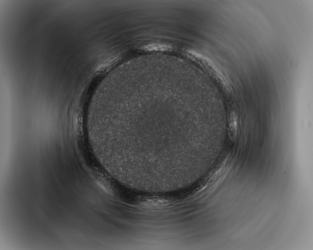 X0000086890547200705141625