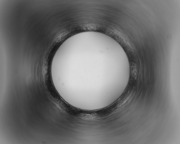 X0000086890548200705141625