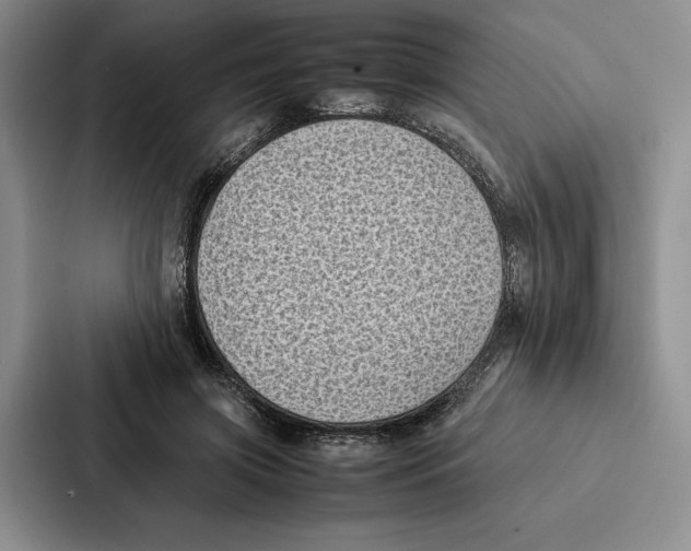 X0000086890549200705141625