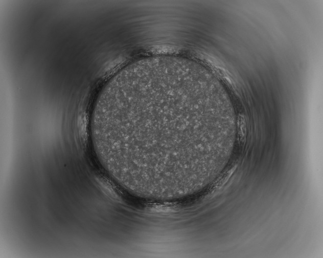 X0000086890550200705141625