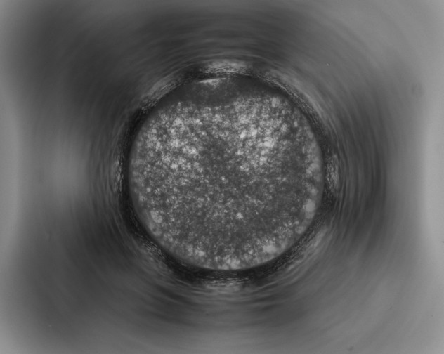 X0000086890551200705141625