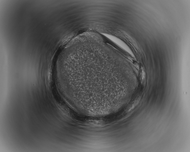 X0000086890552200705141625