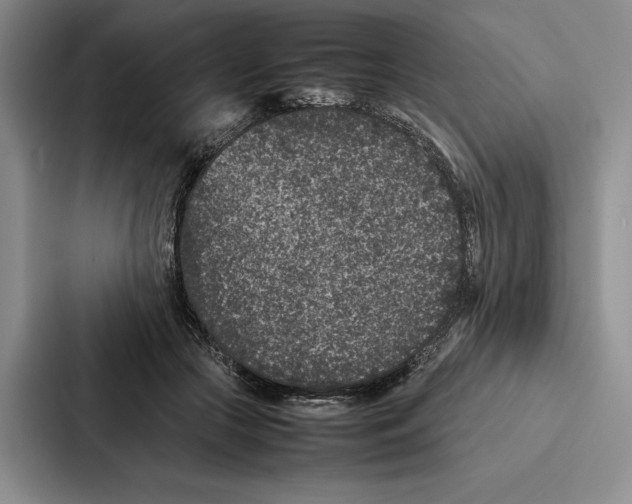 X0000086890553200705141625