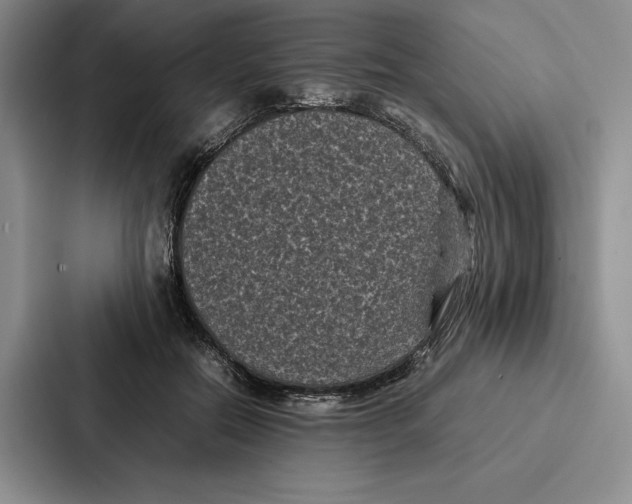 X0000086890554200705141625