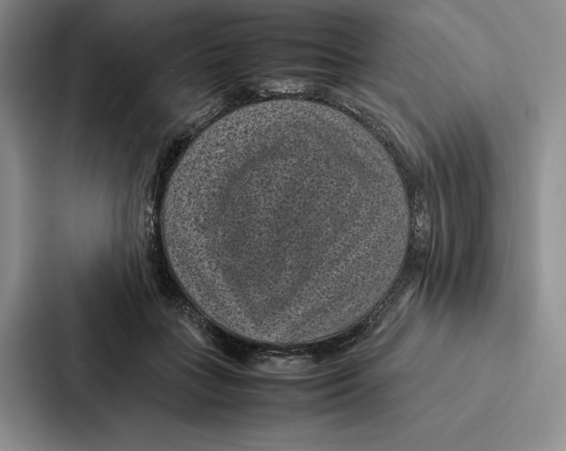 X0000086890555200705141625