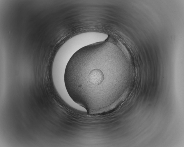 X0000086890556200705141625