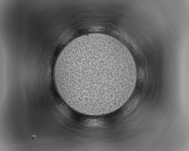 X0000086890557200705141625