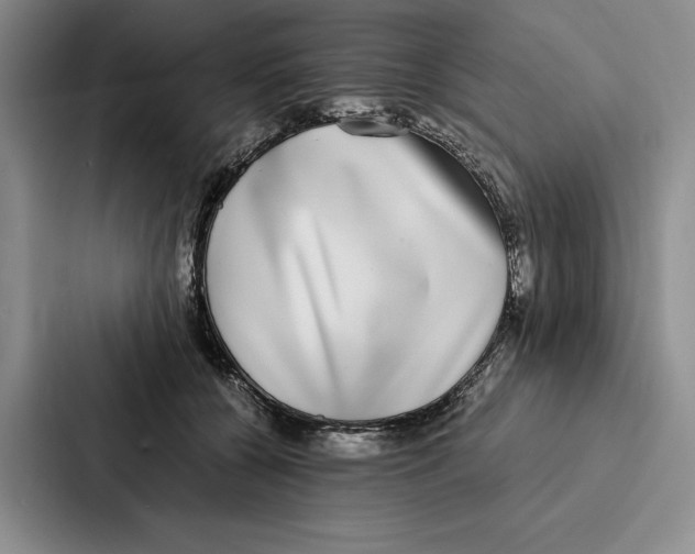 X0000086890560200705141625