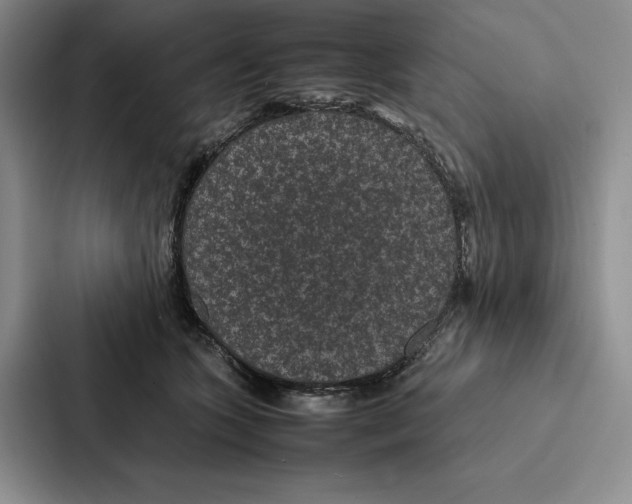 X0000086890563200705141625