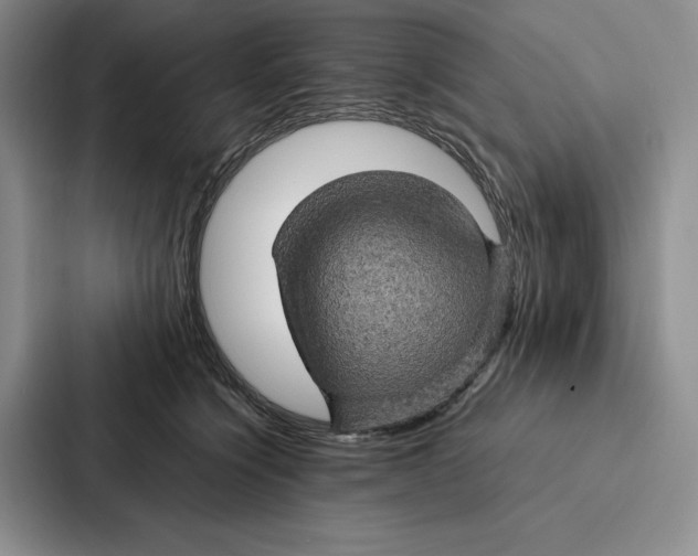 X0000086890564200705141625