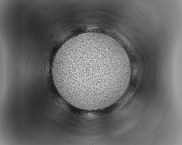 X0000086890565200705141625