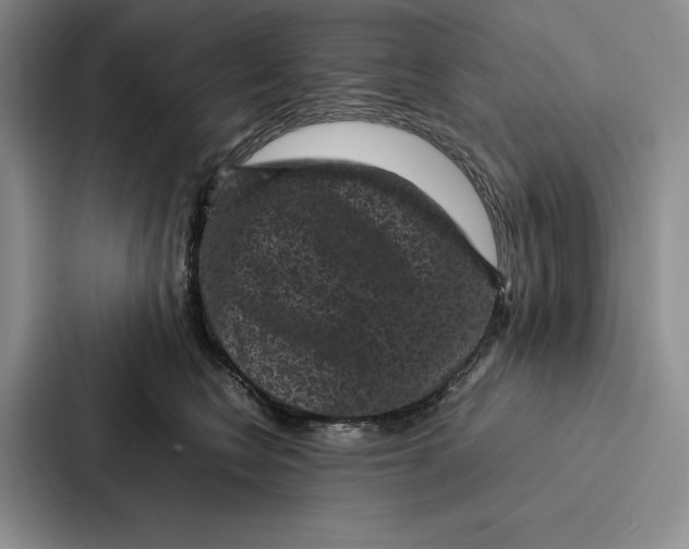 X0000086890566200705141625