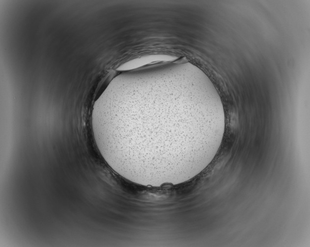 X0000086890567200705141625