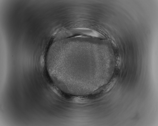 X0000086890568200705141625