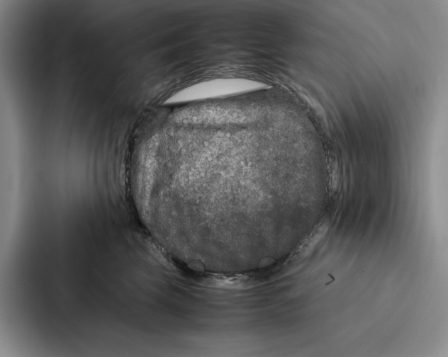 X0000086890569200705141625