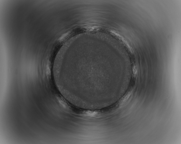 X0000086890570200705141625