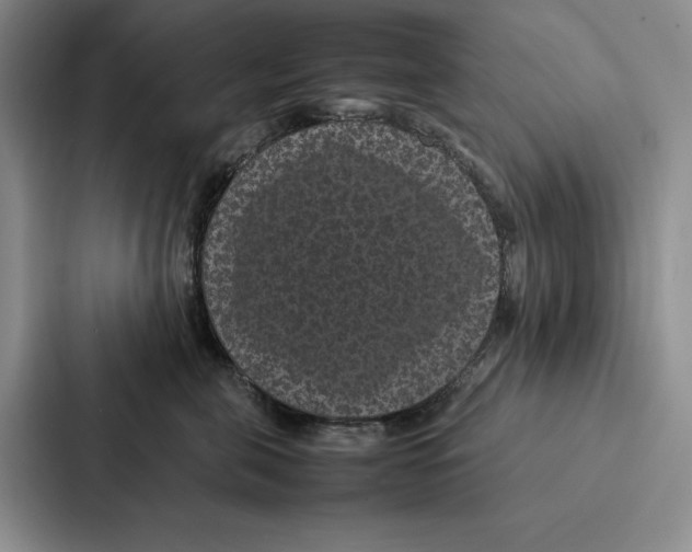 X0000086890571200705141625