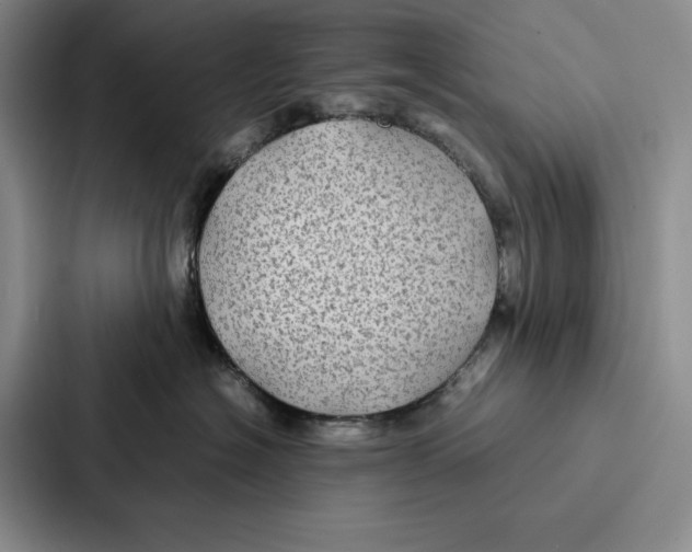 X0000086890574200705141625