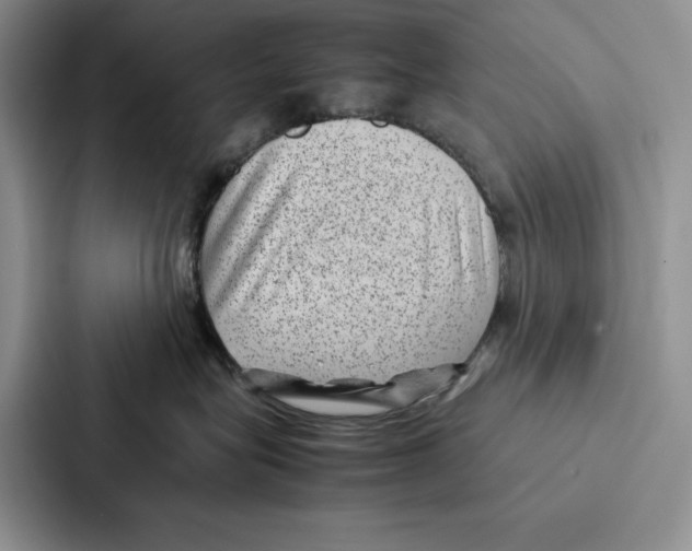 X0000086890575200705141625