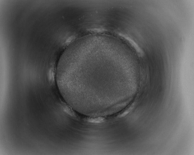 X0000086890576200705141625