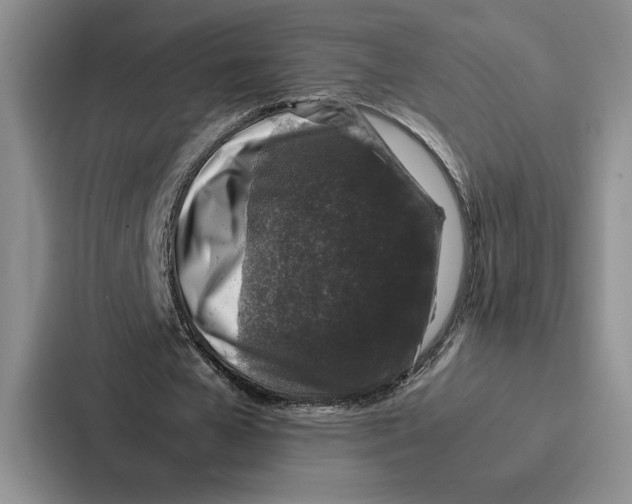 X0000086890577200705141624