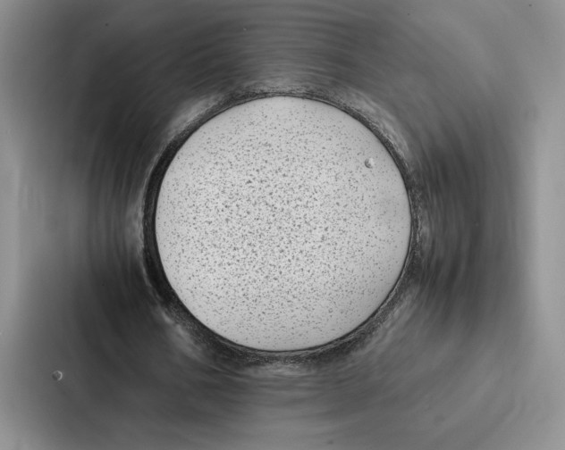 X0000086890578200705141624