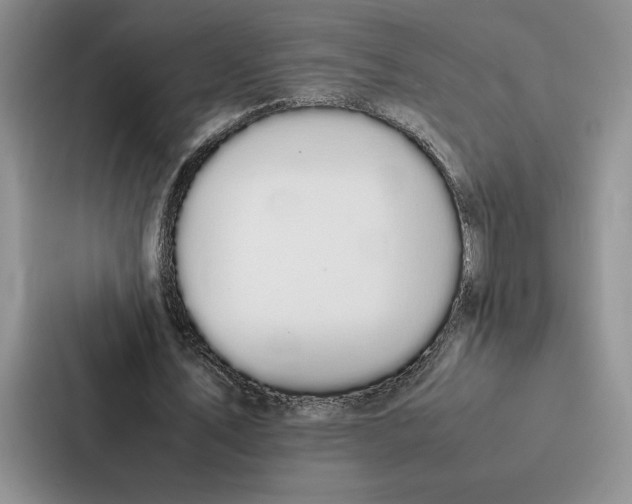 X0000086890579200705141624