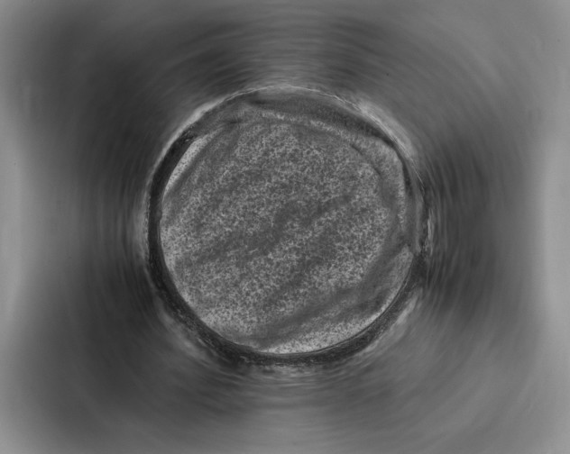 X0000086890580200705141624