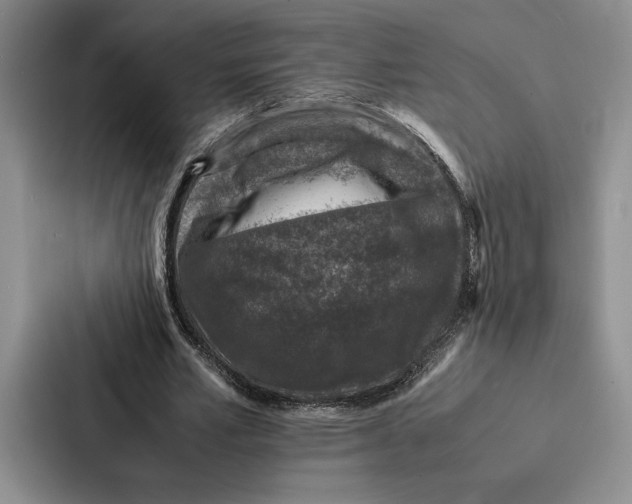 X0000086890581200705141624