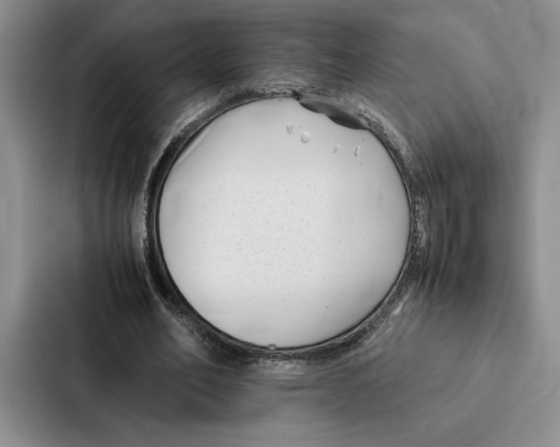 X0000086890582200705141624