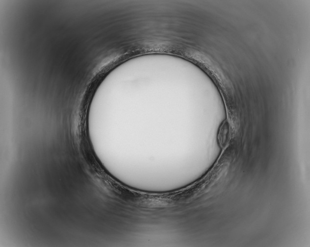 X0000086890583200705141624