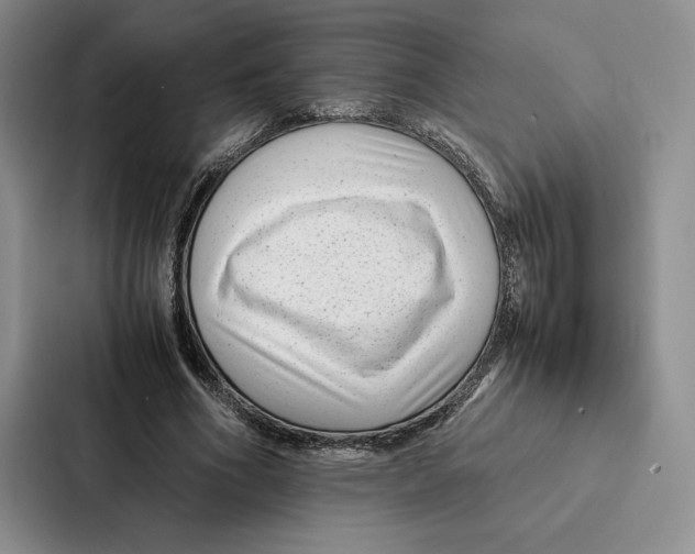 X0000086890586200705141624