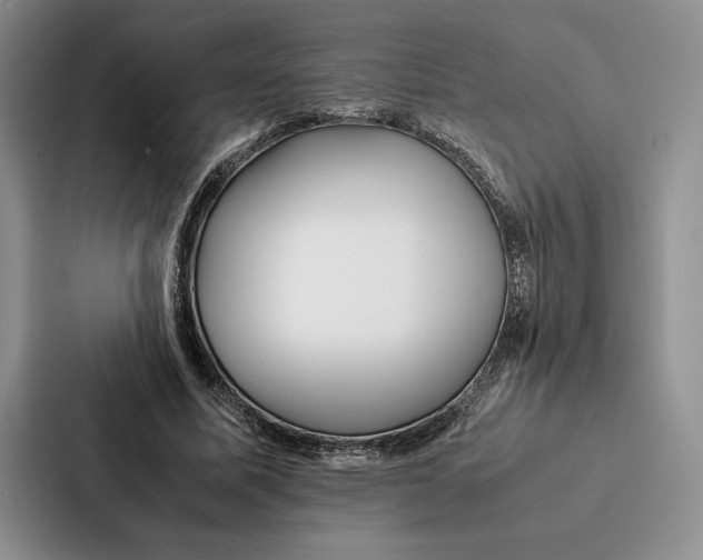 X0000086890587200705141624