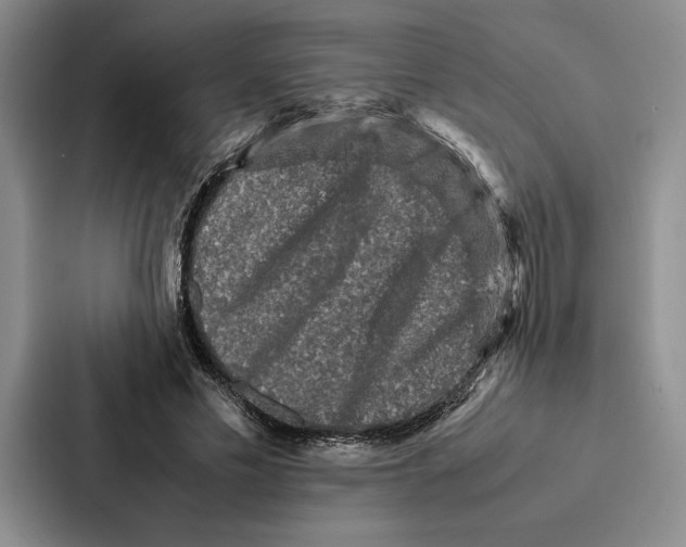 X0000086890589200705141624